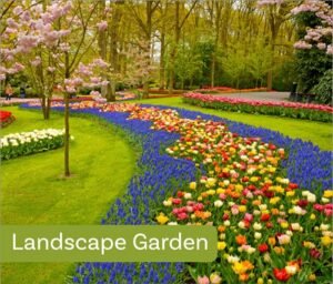 Landscape Garden